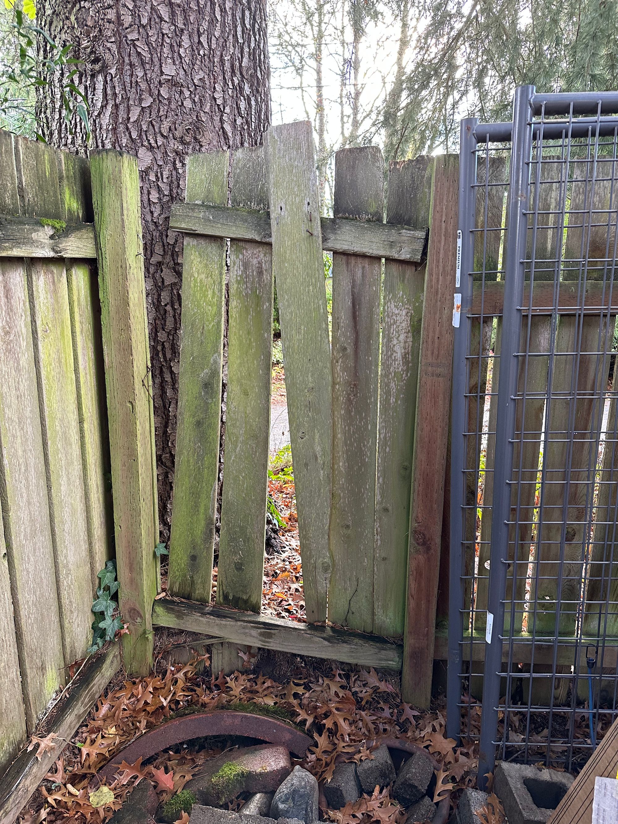 A corner section of fence with loose slats and the top rail separated from the post