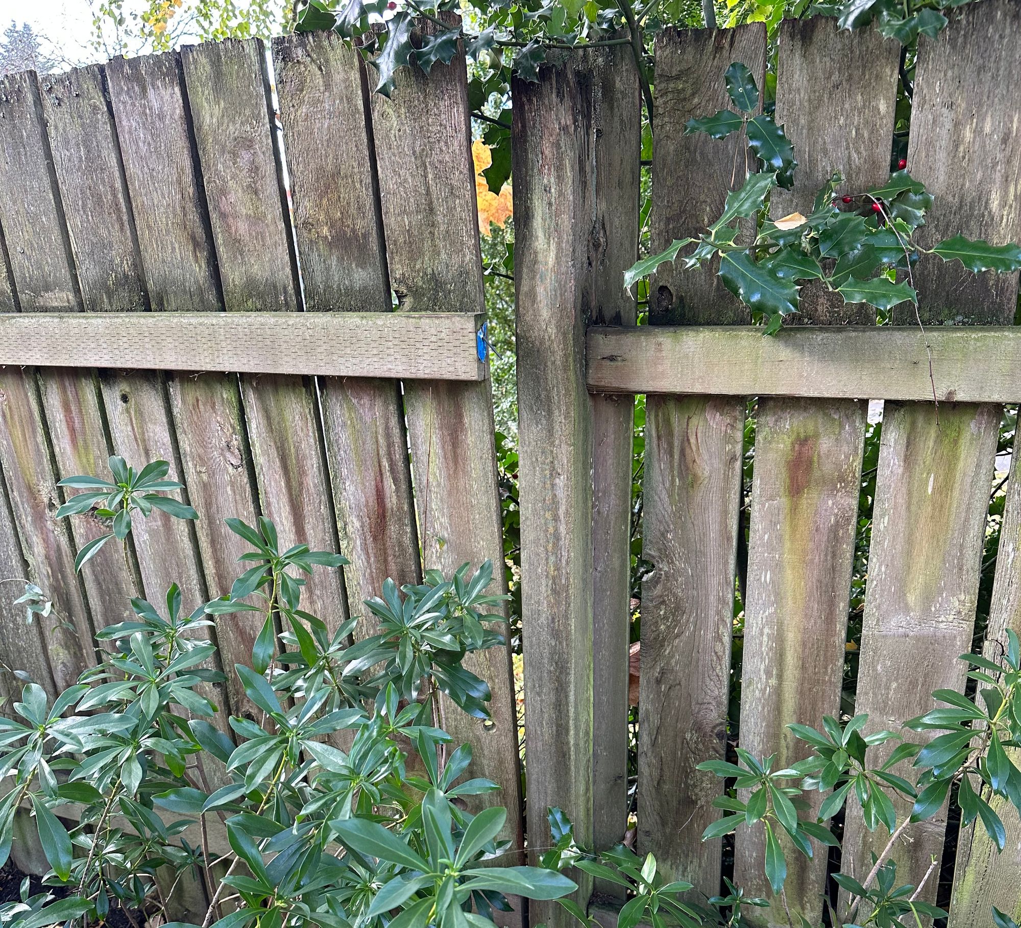 Another section of fence with the top rail pulled away from the post between sections