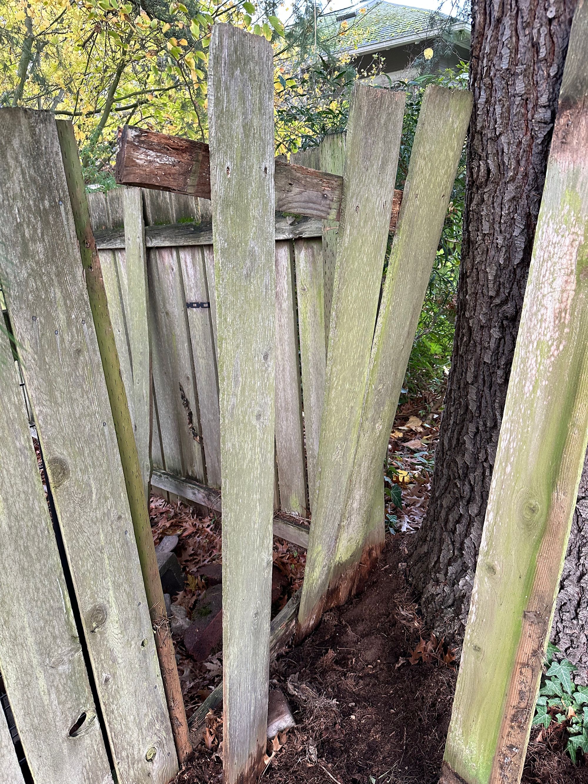 A rear view of the fence, with many slats removed