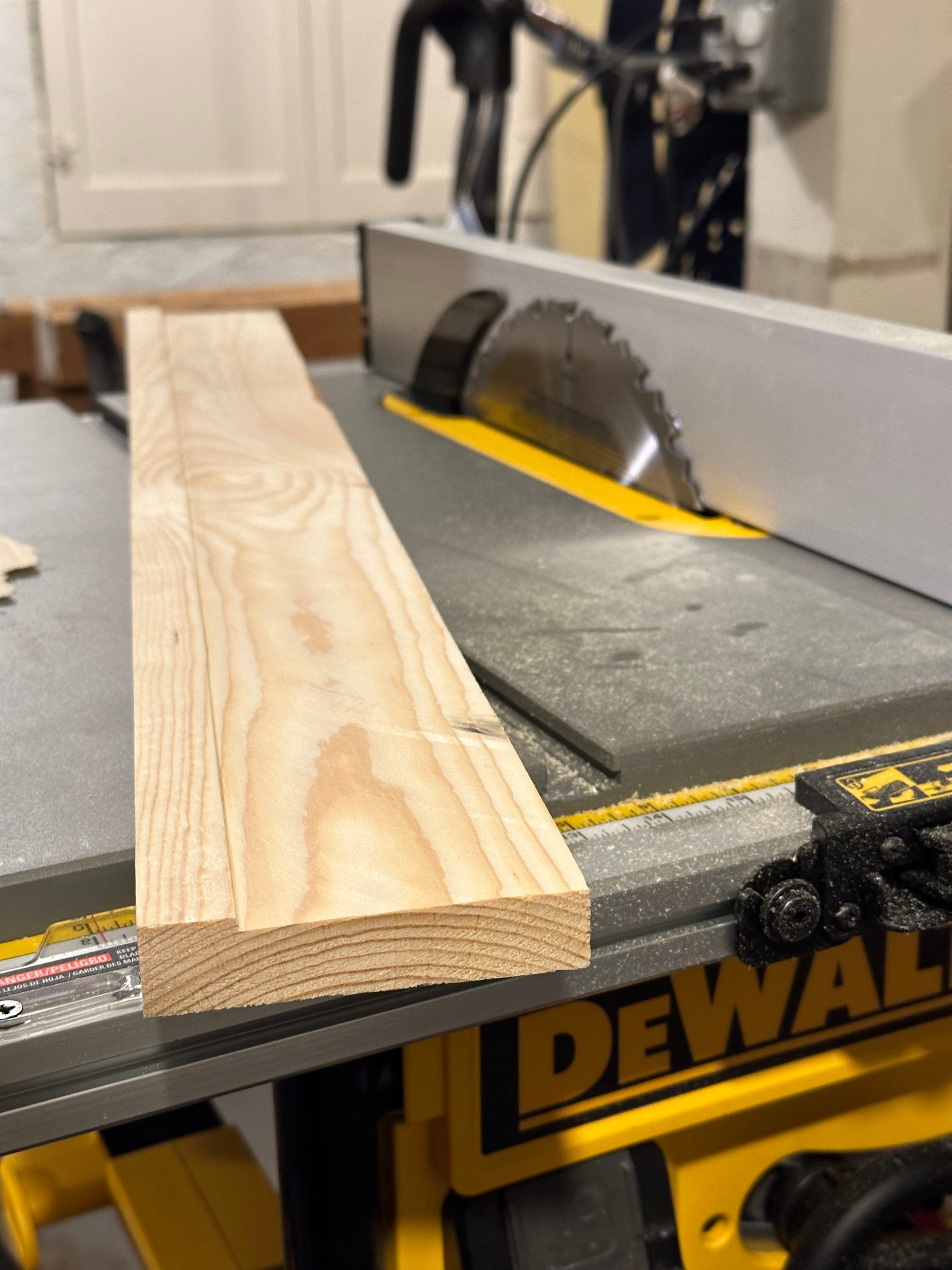 Length of wood, with a groove cut to create a lip, sitting on a DeWalt table saw