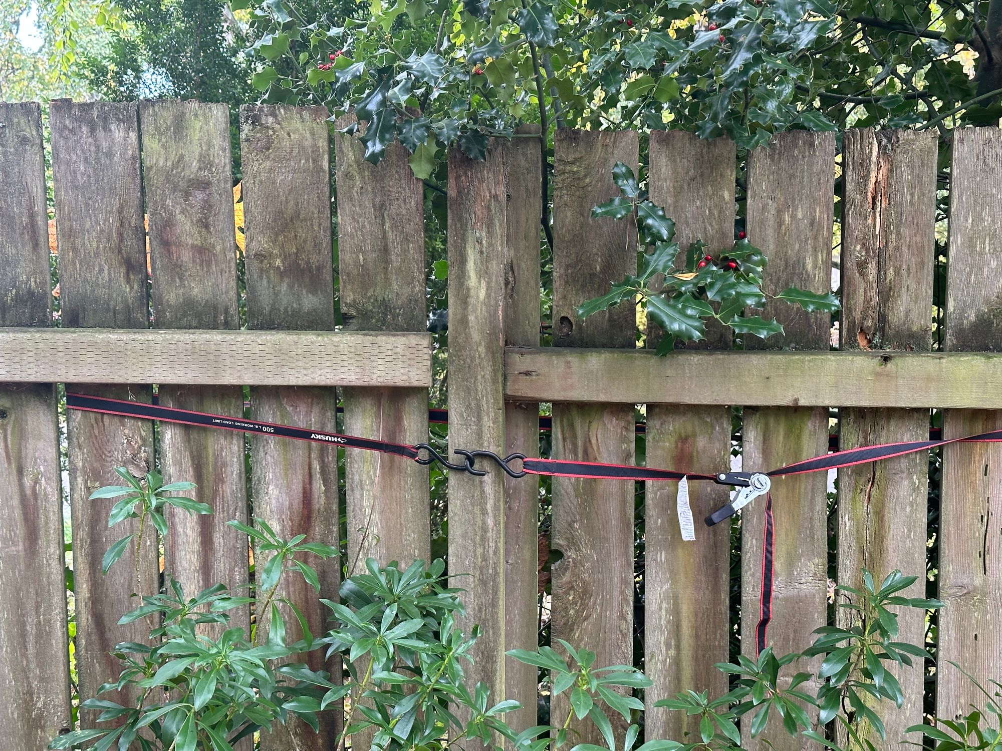 A fence, surrounded by plants, with a gap between the post and rail, and a ratchet strap around sections of the fence